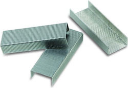 Paper Staples