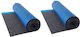Vevor Plastic Floor 3mm in Roll