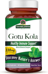 Nature's Answer Gotu Kola 330mg 200gr 60 φυτικές κάψουλες Nature's Answer Gotu Kola 330mg 200gr 60 φυτικές κάψουλες