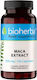 Bioherba Maca Extract 350мг 100 капси