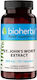 Bioherba St. John's Wort 260мг 100 капси