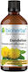 Bioherba Настойка Tincture Dandelion Root 100мл