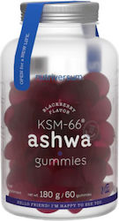 Nutriversum Ashwagandha 60 μαλακές κάψουλες