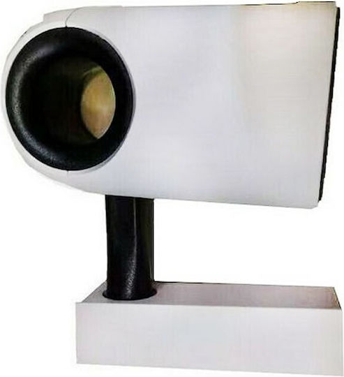 Single LED Natural White Spot