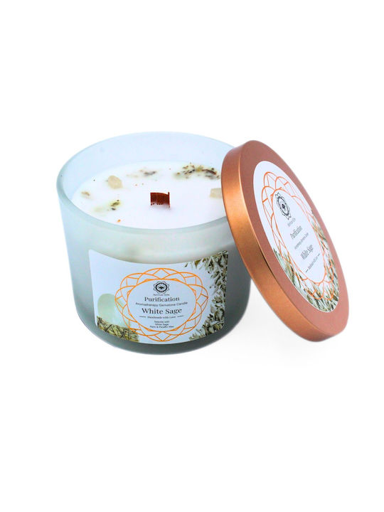 Green Tree Candle Company Κερί Σόγιας σε Βάζο Πράσινο 256gr