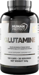 Human Protect Glutamine 1200мг 120 Капсули Human Protect Glutamine 1200мг 120 Капсули
