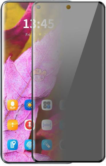 2.5D Privacy Tempered Glass (OnePlus 13)