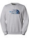 Drew Gray Sweatshirt