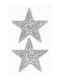 Christmas Stickers Bsb Star Silver 7.8x12.5 1 Sheet 71-046