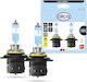Alca 2 Pieces HIR2 Halogen Car Lamp I PX22d I 12V 55W Halogen Headlight Lamp I +200% More Brightness I Headlight Lamp I E-mark I Vehicle