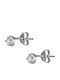 Cercei din White Gold cu Pietre
