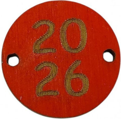 Lucky Charm Red made of Wood 2026 2cm 10pcs