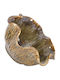 Fylliana Fl30009 Decorative Bowl Brown 20x10cm