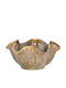 Fylliana Fl30010 Dekorative Schüssel Keramik Beige 24x12cm 1Stück