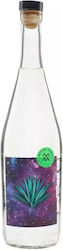 Amores Verde Momento Joven Mezcal 42% 700ml