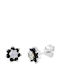 Cercei din White Gold cu Pietre