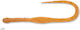 Ecogear Jukusei Tairaba Aqua Kuwase Curly Slim 7,5cm Künstliche Köder