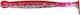 Silikon Ecogear Grass Minnow Medium 6,4cm #111 Künstliche Köder