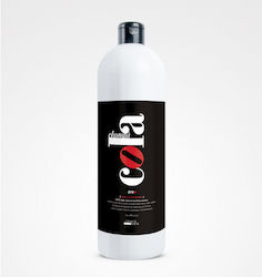 Salon Tech Σαμπουάν Λάμψης 1000ml Salon Tech Σαμπουάν Λάμψης 1000ml