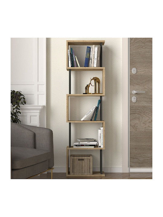 Bibliothek Alvina Sapphire Eiche - Anthrazit 45...