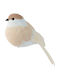 Kaemingk Katoikonhome Decorative Little Bird Foam Clip Beige-Brown 17 Cm
