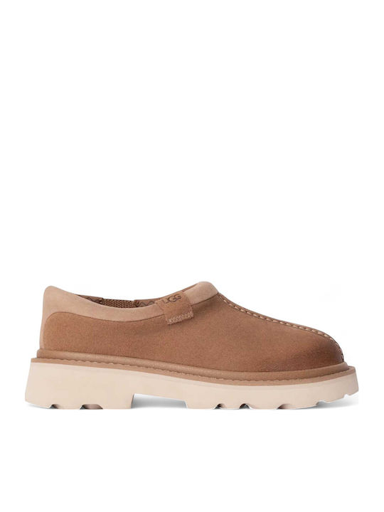 UGG M Tasman Χειμερινές Ανδρικές Παντόφλες Καφέ