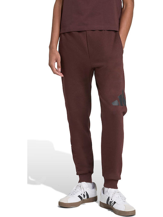 Big Logo Pantaloni de trening Maro
