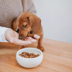 Hunter Pet Bowl 310ml Hunter Pet Bowl 310ml