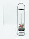 Eurolamp Christmas Metallic Black Battery Lantern 44x11.5cm