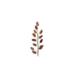 Sucursala de Pin Naturală 11x50cm Sucursala de Pin Naturală 11x50cm