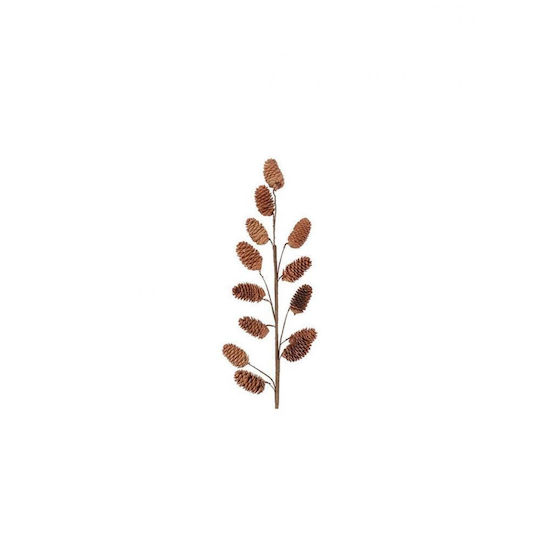 Natural Pine Branch 11x50cm