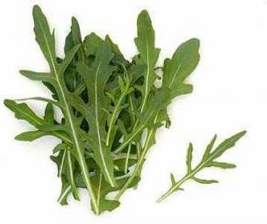Evotris Σπόροι Ρόκας 100gr