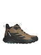 adidas Terrex Anylander Men's Hiking Boots Beige