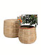 Polihome Morsal Decorative Basket Wicker 30x30x100cm