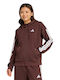 Women's Sweatshirt Hooded Brown