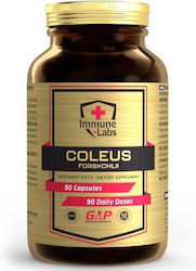 Immune-Labs Coleus Forskohlii 90 Kapseln Immune-Labs Coleus Forskohlii 90 Kapseln
