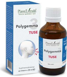 Plantextrakt Polygemma 3 Σιρόπι για Ξηρό και Παραγωγικό Βήχα 50ml Plantextrakt Polygemma 3 Σιρόπι για Ξηρό και Παραγωγικό Βήχα 50ml