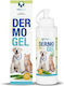 Aloeplus Dermo Gel Καταπραϋντικό Τζελ Δέρματος Σκύλους & Γάτες 200ml