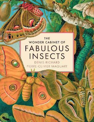 The Wonder Cabinet Of Fabulous Insects: Secrets Of The World’s Rarest And Strangest Insects Pierre-olivier Maquart Abrams