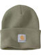 Beanie Unisex Beanie with Rib Knit in Green color