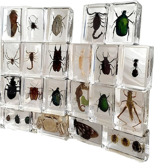 Miniatură Decorativă Set de insecte din rășină 12 buc 1buc