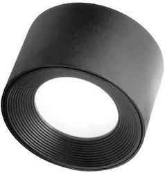 APS Commercial Serving Item 7.5cm.