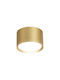 Eko Light Einzel Spot mit Fassung null in Gold Farbe