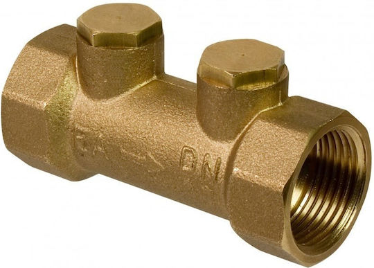 Pure Ea Class 1 1/4 Zoll Shot Peened Anti-Kontaminationsventil