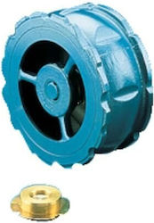 Flanged Check Valve Type 802 Dn65