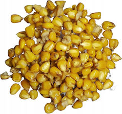 Ttcarp Kukurydza Ready Grains 1kg