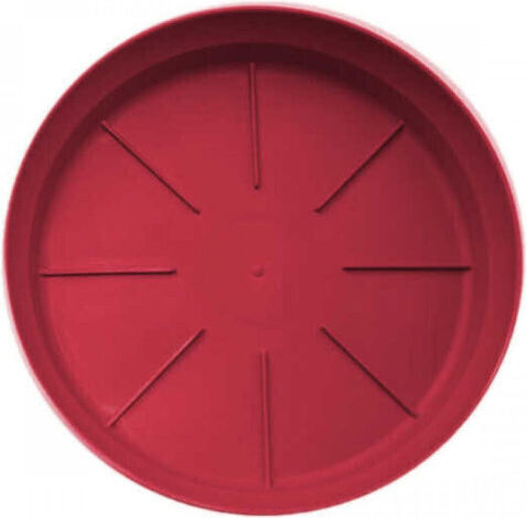 Micplast Farfurie Pot Μπορντώ 73x73buc 11.02.04