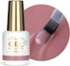 Building Gel In Bottle Brush Gel In Bottle Molly Nails Pro Salon Biscotti Hema/di-hema Free 15g