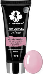 Powder Gel Acrylic Gel Allepaznokcie Hema/di-hema Free French Pink 30 G