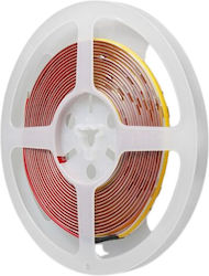 Modee Lighting Ταινία LED 24V Ψυχρό Λευκό 5m Modee Lighting Ταινία LED 24V Ψυχρό Λευκό 5m